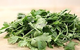 欧芹,香菜卷,家庭保护伞