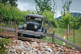 那辆旧车,葡萄,景观