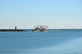 葡萄牙,海,渔船