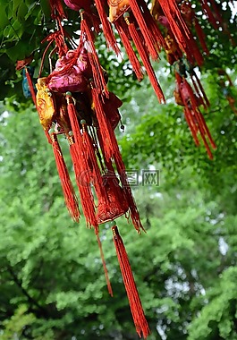 锦里,心愿树,红色