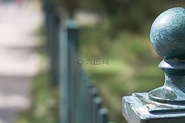 篱笆,绿色,户外