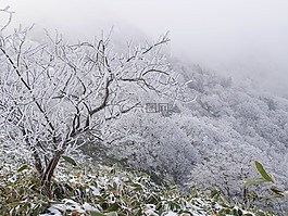 冬季山,霜,冬季
