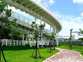 桥梁,步道,砖