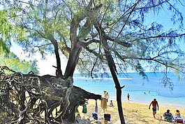 哈纳莱伊,考艾岛,夏威夷