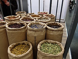 柏林,夏季,8 月