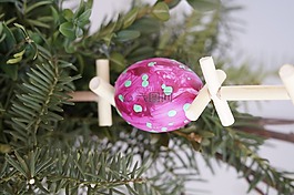 棕榈树,海关,棕榈星期日