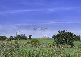 大草原,房子,字段