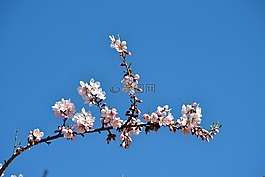 马德里,春,第五米尔斯