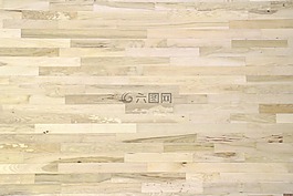 木地板,松,篮球场