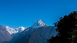 鱼尾,山,喜马拉雅山