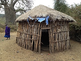 小屋,住宅,非洲