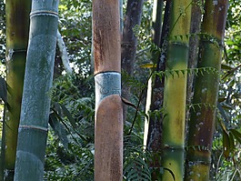自然景观,台湾,亚洲