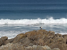 海,海滩,线索