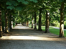 城堡花园,schwetzingen,schlossgarten
