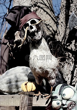 万圣节,怪物,鬼