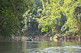 泰国,flodfärd,河