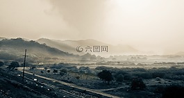 山,植被,雾