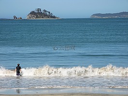 海洋,海滩,冲浪