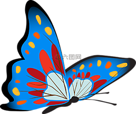 蝴蝶,多彩,蓝色