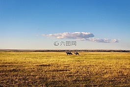 骑马,草原,辽阔