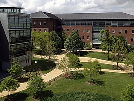 工程四,大学,校园