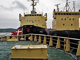 丹麦eissbrecher,danbjørn,isbjørn