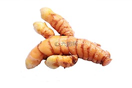 姜黄,草本植物,植物