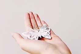 手,女子,女人的手