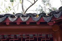 中国风,秋天,古风