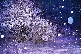 雪,夜,12 月