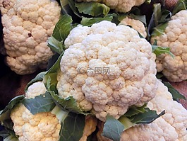 菜花,蔬菜,健康