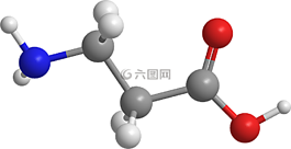 酸,aminopropanoico,羧酸