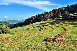 景观,贝斯基德,岛 beskids