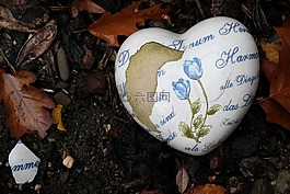 心脏,光秃的,梦想