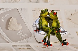 青蛙,恋人,滑稽