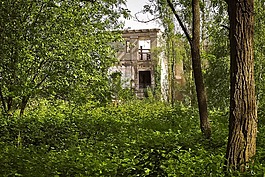 丢失的地方,工厂,分手