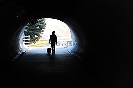 走,孤立性,狗