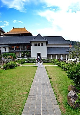 牙的寺庙,金色屋顶,斯里兰卡大象孤儿院 maaligawa
