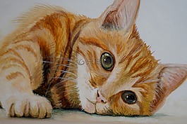 猫,甜,绘画