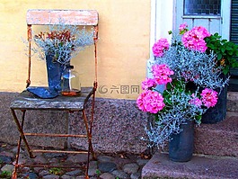 旧椅子,鲜花,沉默