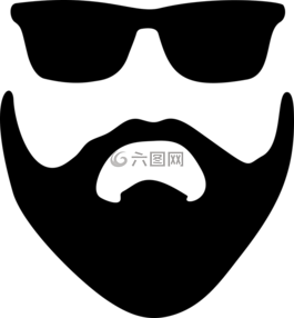 胡子,面部毛发,太阳镜