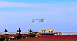 红海滩,海,红