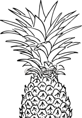 菠萝,水果,热带