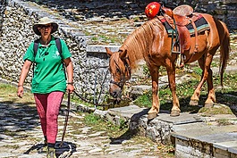 骑马,活动,旅游