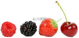 树莓,草莓,樱桃