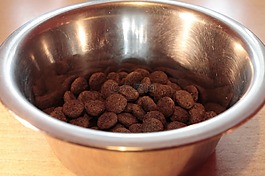 食盆,fressnapf,狗食