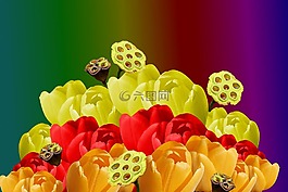 背景,鲜花,彩色