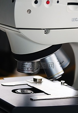 显微镜,增加,实验室