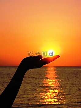 太阳,手,手指