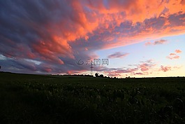 云,天空,草地